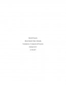 Idea de Proyecto Formulación y Evaluación de Proyectos