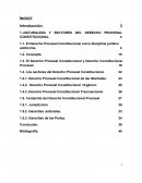 NATURALEZA Y SECTORES DEL DERECHO PROCESAL CONSTITUCIONAL
