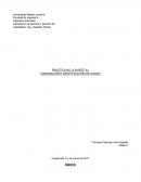 PRACTICA NO. 8 (PARTE A) “GENERACIÓN E IDENTIFICACIÓN DE GASES”