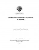 Analisis sociologico de como fumar marihuana y tener un buen viaje