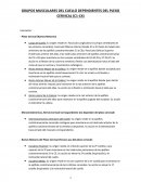 GRUPOS MUSCULARES DEL CUELLO DEPENDIENTES DEL PLEXO CERVICAL (C1-C4)