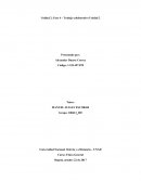 Unidad 2: Fase 4 – Trabajo colaborativo Unidad 2