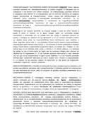 TEORIA NECESIDADES Y SUS PRINCIPIOS PERMITE MOTIVADORES