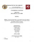 ¿Cómo Esta Organizada La Universidad Técnica De Ambato?