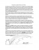 El arcoíris un pacto de Dios con la Tierra