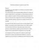 Problemática ambiental en la represa de prado Tolima