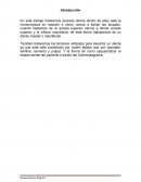 Anatomia dental. Nomenclatura de los dientes