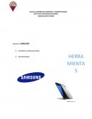 EMPRESA: SAMSUNG DESARROLLO ORGANIZACIONAL BENCHMARKING