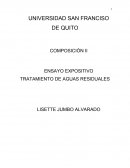 ENSAYO EXPOSITIVO TRATAMIENTO DE AGUAS RESIDUALES