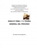 ENSAYO TEMA 1 Y 2 TEORIA GENERAL DEL PROCESO