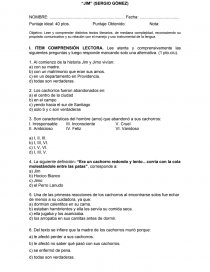 PRUEBA DE LECTURA COMPLEMENTARIA (4º BÁSICO A) “JIM” (SERGIO GÓMEZ). Página 1