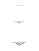 Sueños sin fronteras