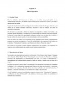 Como se da un Marco operativo