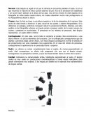 Angulos fotograficos