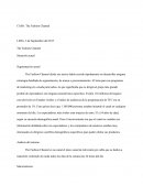 CASO: The Fashion Channel