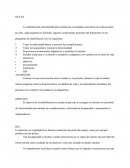 Programa de rehabilitación