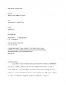 ANALISIS DEL PROYECTO DESARROLLO DE LA ACTIVIDAD