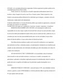 Es la sociedad políticamente organizada