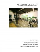 Ejercicios financieras “ALQUIBICI, S.L.N.E.”