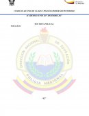 Ensayo de La Doctrina Policial