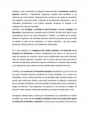 Nosotros, como Licenciados en Negocios Internacionales, lucharíamos contra la pobreza haciendo u organizando programas sociales para beneficiar a las personas que menos tienen