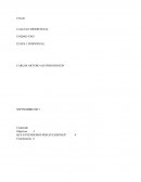 QUE ENTENDEMOS POR SUCESIONES