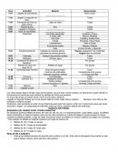 Horario paseo-bautismo