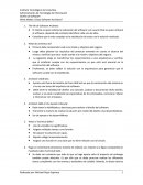 The life of Software Architect