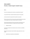 Manejo de capital actividad