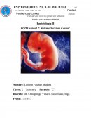 Embriología II FODA unidad 2: Sistema Nervioso Central
