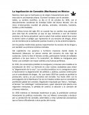 La legalización de Cannabis (Marihuana) en México