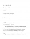 Derecho Internacional Público Resumen