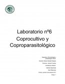 UN NUEVO Informe de microbiologia