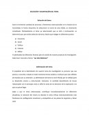 Justificacion y delimitacion del tema