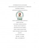 ENSAYO- SISTEMAS COMPUTACIONALES