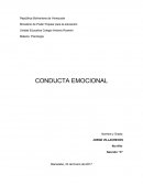 Conducta Emocional resumen