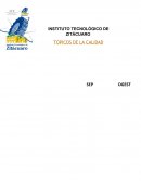 PROYECTO TÓPICOS DE CALIDAD