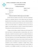 Informe de evaluación de estilos de apego en jóvenes adultos