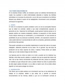 Ergonomia empresa Artisan Coffee