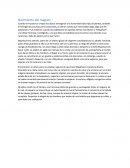 Nacimiento del maguey