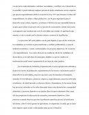 Proyectos Lerida, Tolima