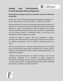 Imaging Local Electrochemical Current via Surface Plasmon Resonance