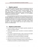 Proyecto de acompañamiento psicoterapeutico