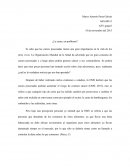 La carne ¿un problema?