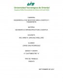 DESARROOLLO DE NEGOCIOS AREA LOGISTICA Y TRANSPORTE