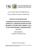 PROGRAMA DE MOTIVACIÓN BASADO EN LA TEORÍA DE LA JERARQUÍA DE MASLOW PARA MEJORAR LA SATISFACCIÓN LABORAL, EN LA PLANTA PROCESADORA “AGROINDUSTRIAS A.I.B S.A”