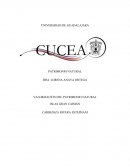 VALORIZACIÓN DEL PATRIMONIO NATURAL ISLAS GRAN CAIMÁN