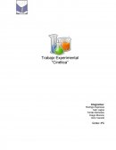 Teoría de choques experimento