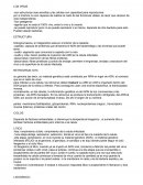 LOS VIRUS ESTRUCTURA