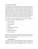 Los presupuesto de materiales